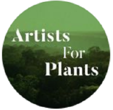 Mostra internazionale - "THE CREATIVITY OF PLANTS"