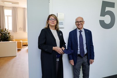 Scoprimento della targa