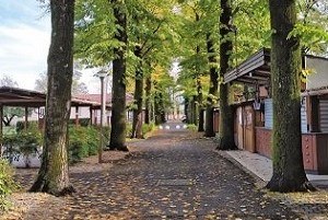 Parco di Sant’Osvaldo, progetto di rigenerazione