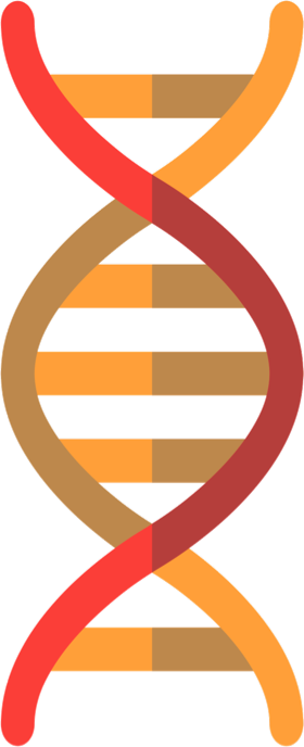 Immagine simbolo del corso