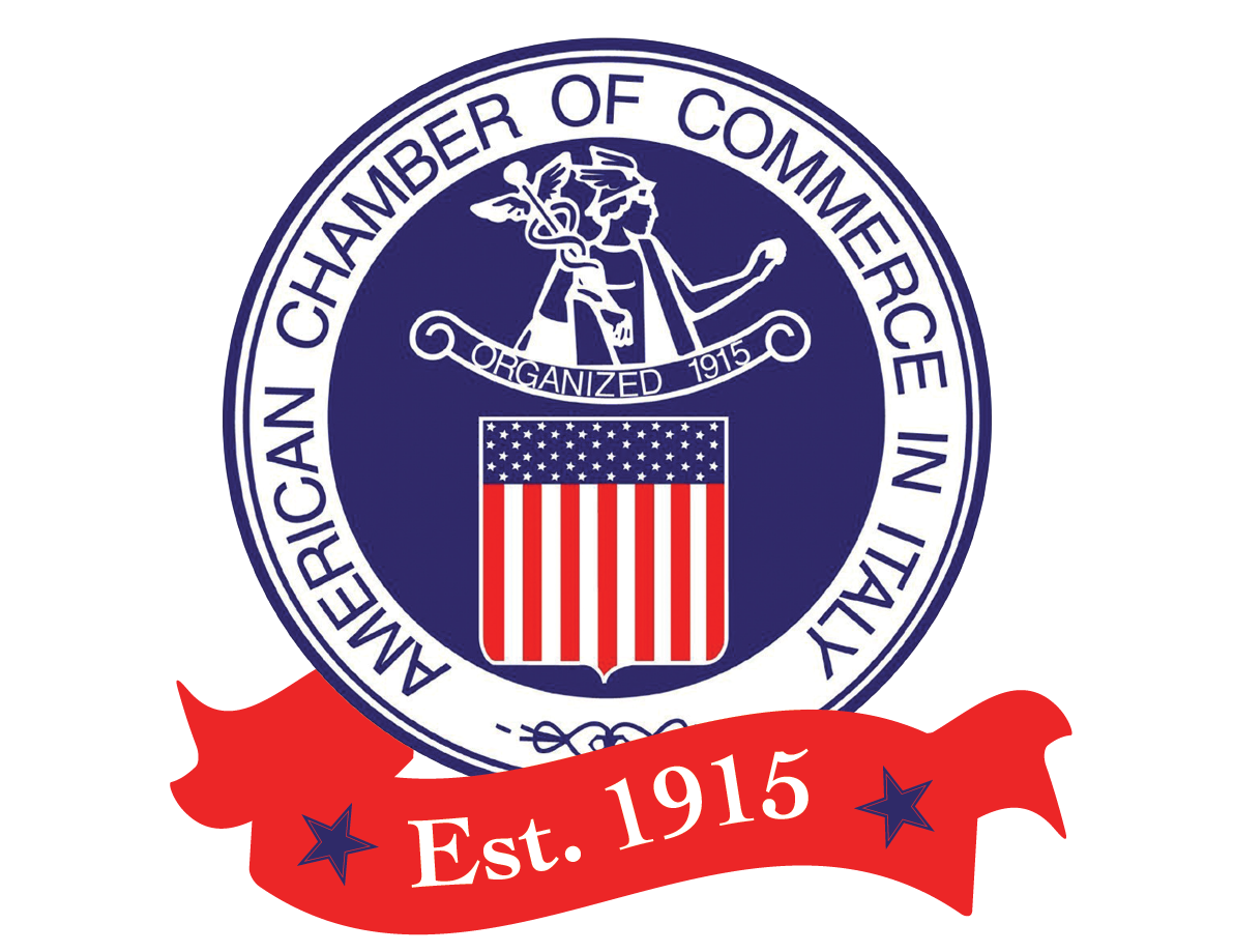 LOGO Camera di commercio USA.PNG