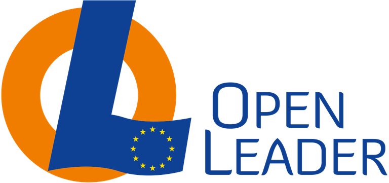 OPEN_LEADER_LOGO.png