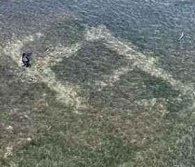 Gli stati generali dei bassi fondali