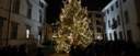 Il primo grande albero di Natale all’aperto dell'Ateneo