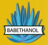 edit FP7 - BABETHANOL- New feedstock and innovative transformation process for a more sustainable development and production of lignocellulosic ethanol.