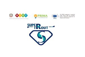 PRIMA - SUPERTROUT - Improving SUstainability and PERformance of aquaculture farming system: breeding for lactococcosis resistance in rainbow TROUT. 