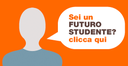 International marketing, management an organization: sei uno futuro studente?