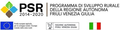 edit PSR - Innovazione tecnica, organizzativa e sociale in orticoltura biologica - INTERCORT
